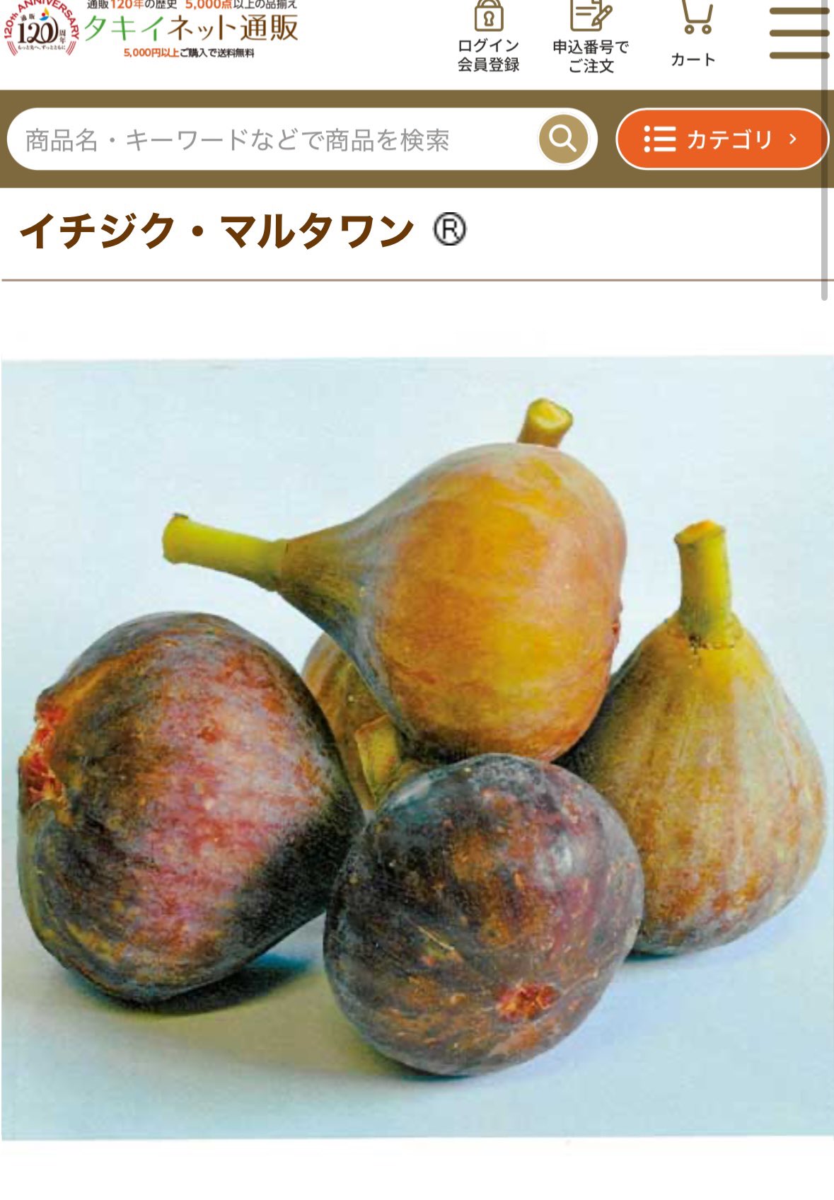 いちじくページ 51LqahezFiL._AC_SY200_QL15_.jpg