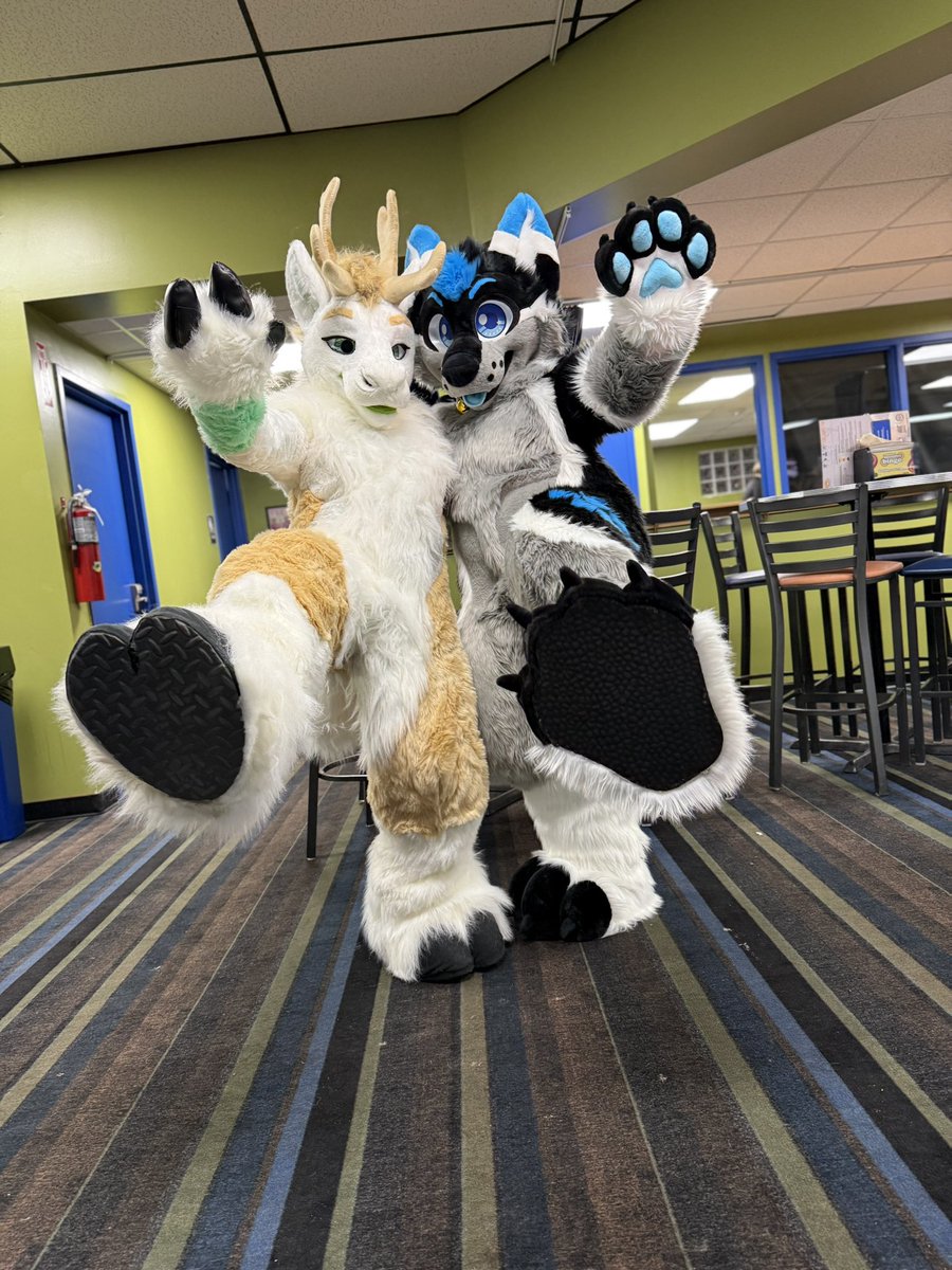 Maxipher1's tweet photo. fursuit debut of jingle made by @BNCreation I have had this suit for a while and never took it out out of the box until today https://t.co/Max8g34yXK