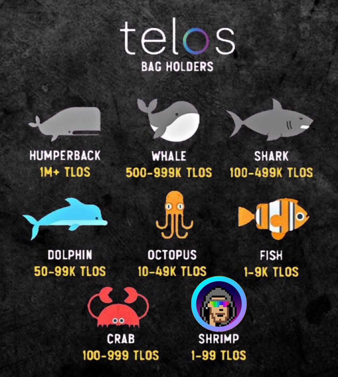 teloswashere's tweet image. During these times being able to accumulate more $TLOS have you increased your bags??? #TELOS #TLOS