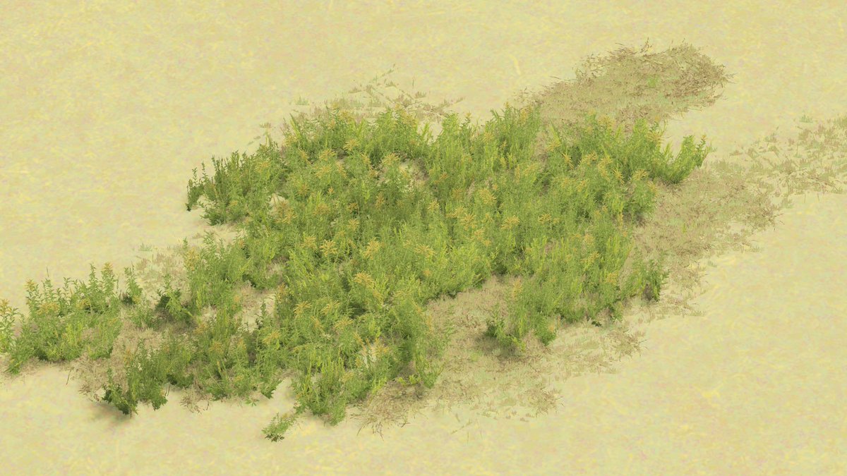 tokachi🍃🥜 tweet media