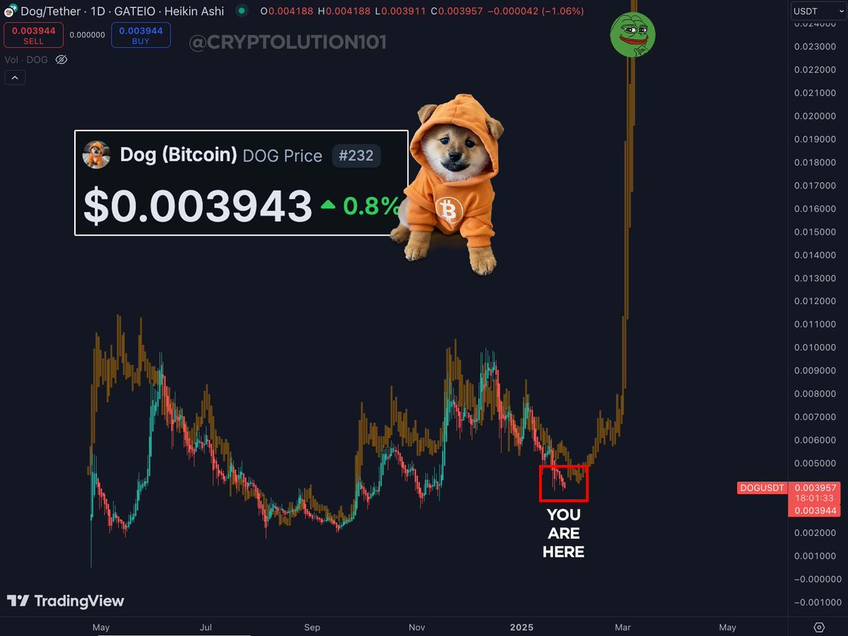 cryptolution101's tweet photo. Do you see the pattern $DOG Army?

s/o @MatthewHyland_ https://t.co/viIyQ0UbZm