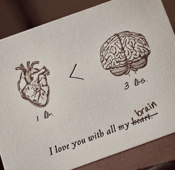 𝙱𝚊𝚋𝚢 𝙻𝚎𝚟𝚘 tweet media