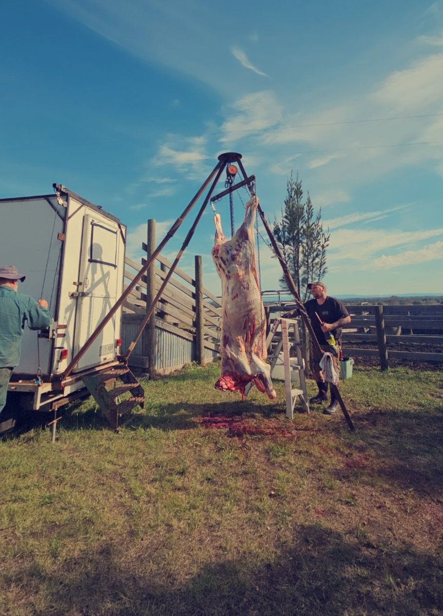 kustardD's tweet photo. Nothing better the aussie beef
#paddocktoplate #AustraliaDay2025 https://t.co/Zvs7jGdsEr
