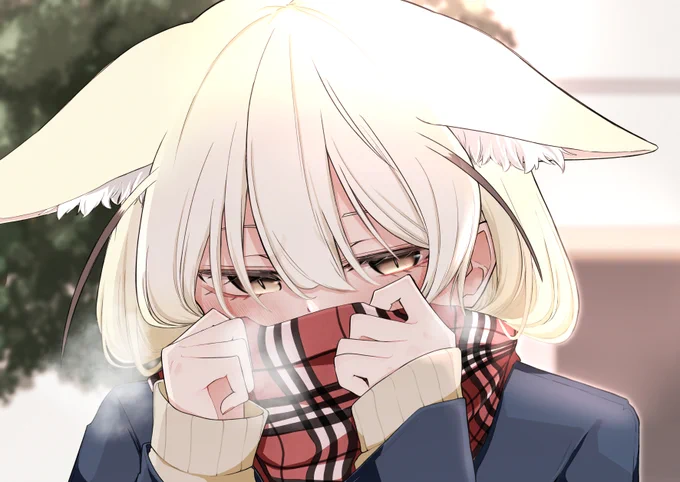 寒い日 