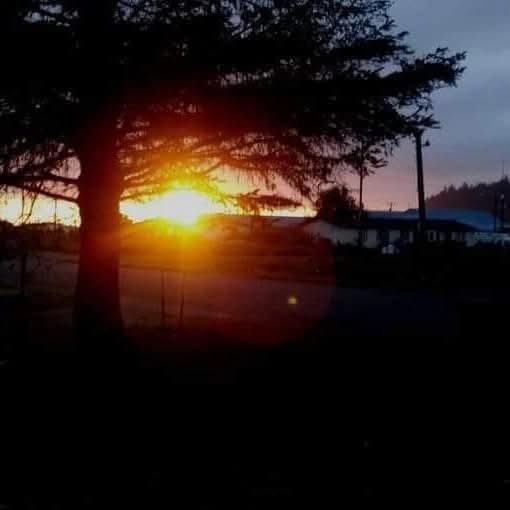 simonphl1978's tweet image. 