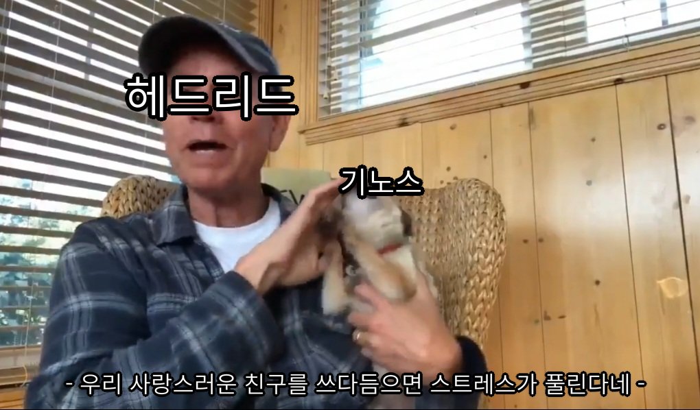 may_flyday's tweet photo. 이번화 보자마자 너무 생각났다 https://t.co/3pIqc0e9uJ