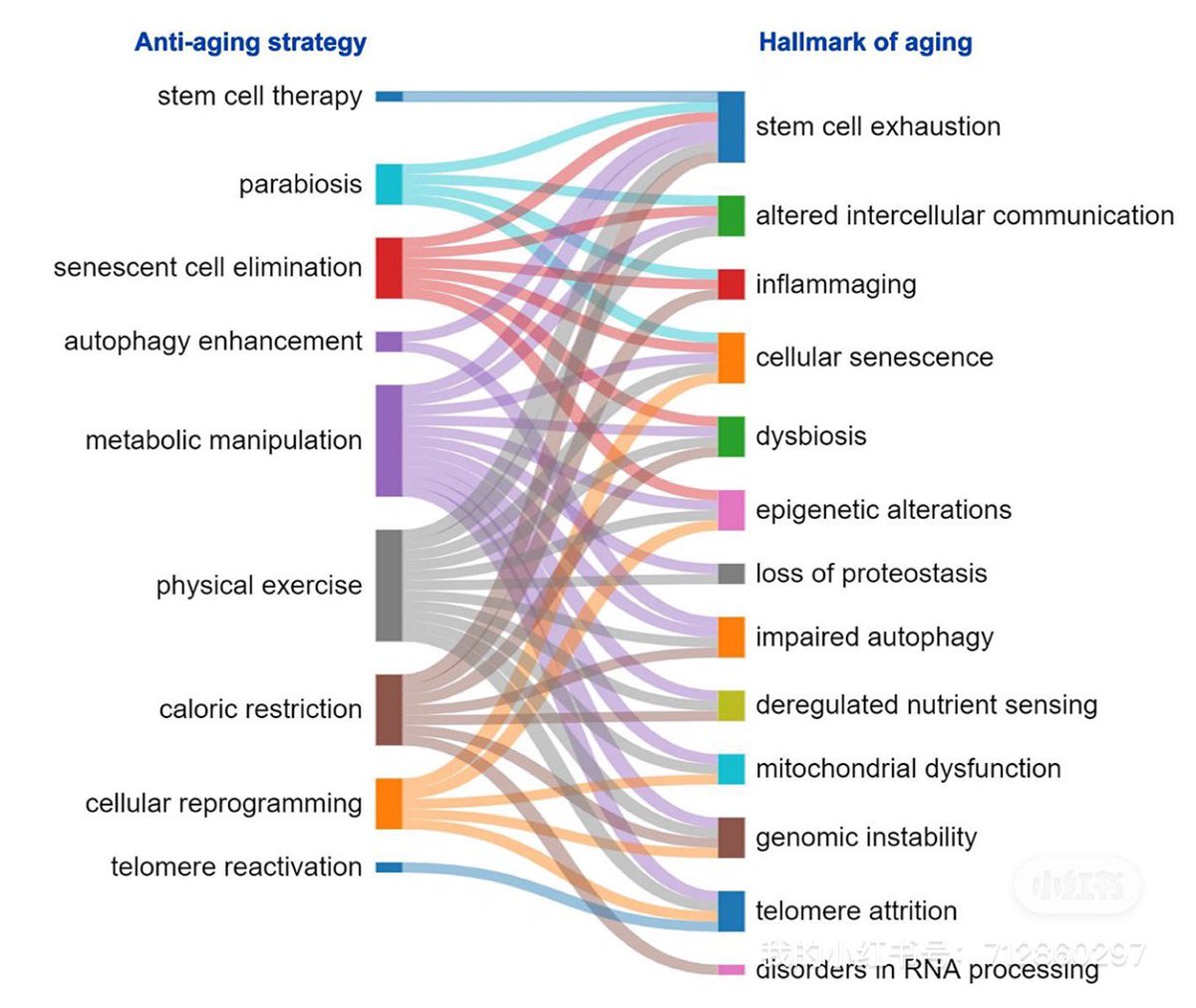 NutrioSci's tweet image. Anti-Aging strategy