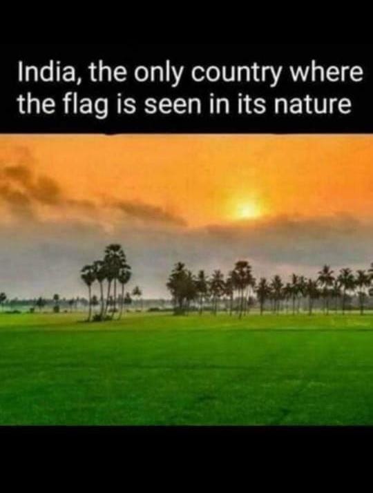 Noa Amsalem tweet media