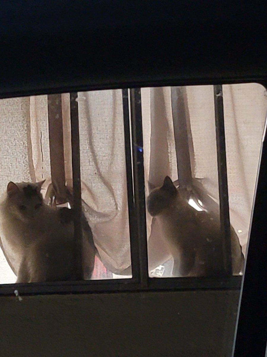 AlphaNine2's tweet image. They judge me as I go to work