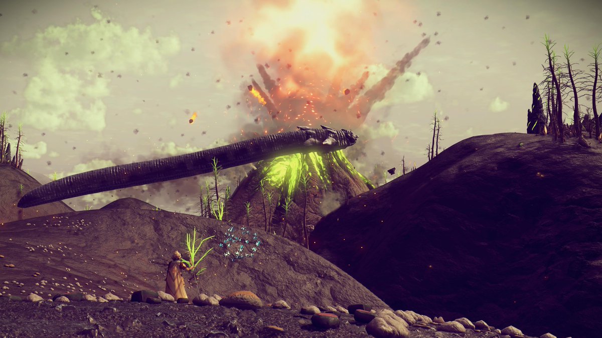 NMSCord's tweet photo. Featured Screenshot by Dragonheart0911

Shortly after landing. "I like this place."

@HelloGames @NoMansSky #NoMansSky #VirtualPhotography #NMSSaturday https://t.co/4RO8Lg77ru
