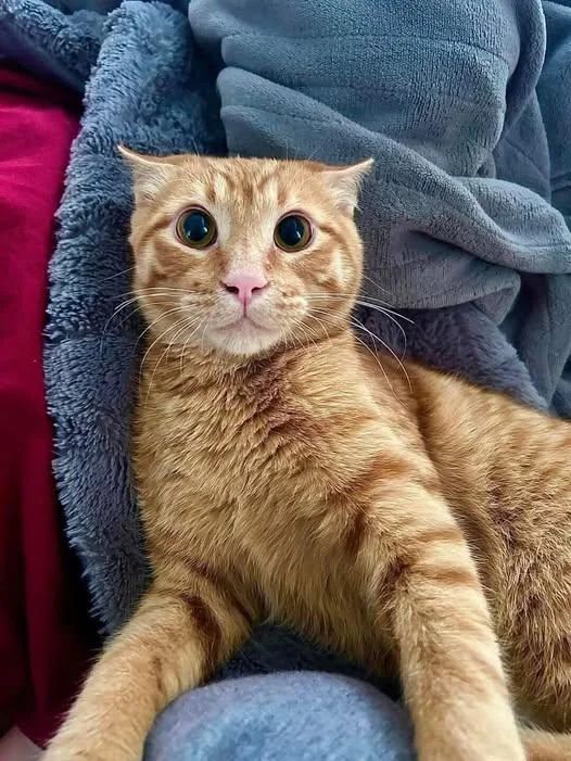 For those with experience: What does this look mean? 😂