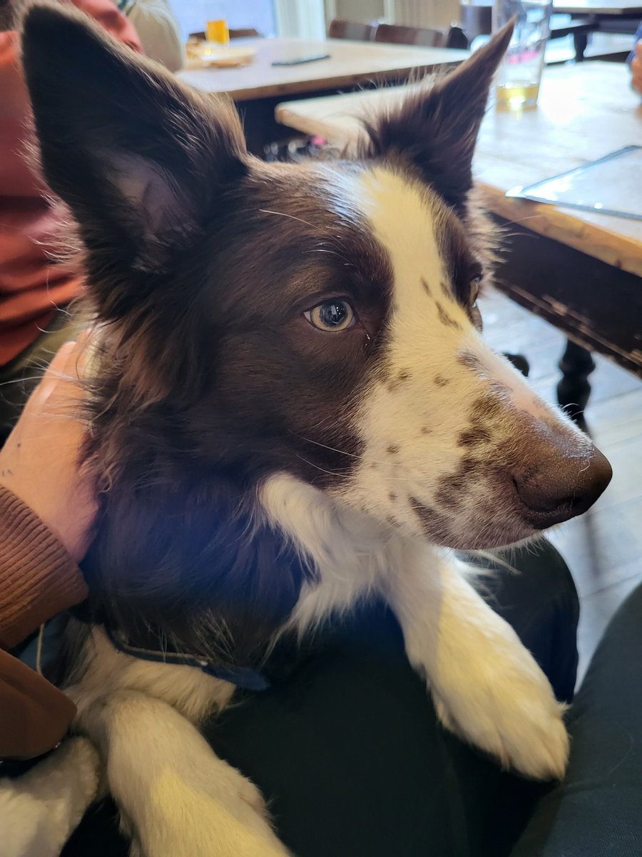 Ardwick Climate Action tweet media