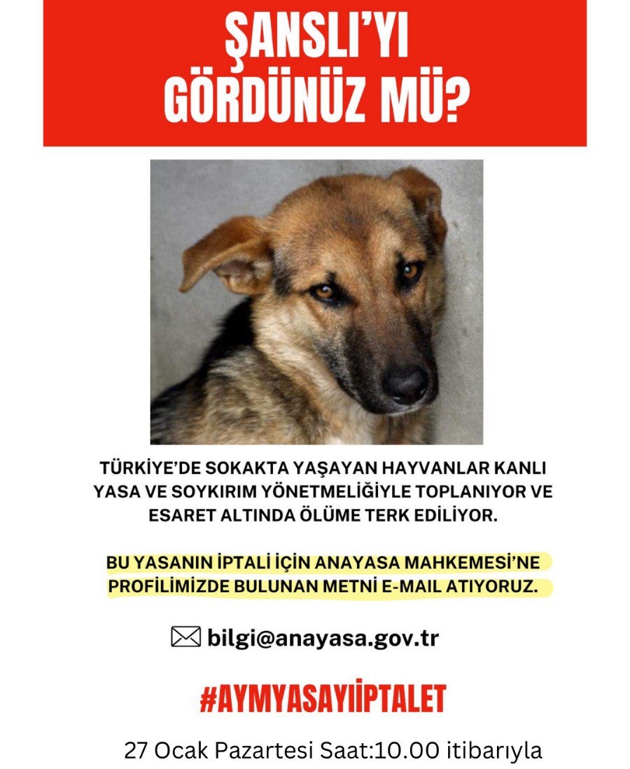 Türkiye’de sokakta yaşayan hayvanlar, kanlı yasa ve soykırım yönetmeliğiyle toplanıyor ve esaret altında ölüme terk ediliyor.

Bu yasanın iptali için, 27 Ocak Pazartesi, saat 10.00 itibarıyla, Anayasa Mahkemesi’ne mail atıyoruz.

Dilekçeye, İnstagram profilimizdeki link üzerinden