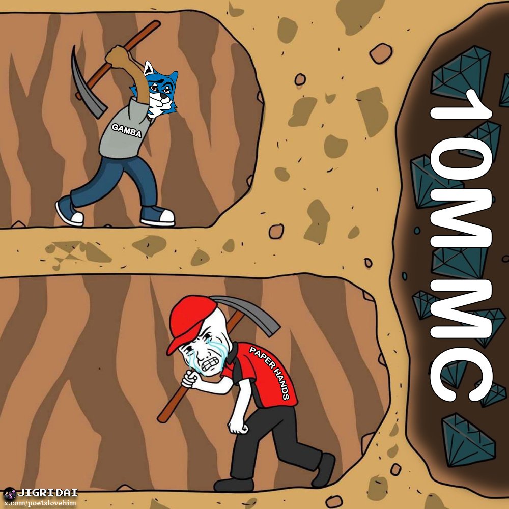 Jigri dai | TADO tweet media