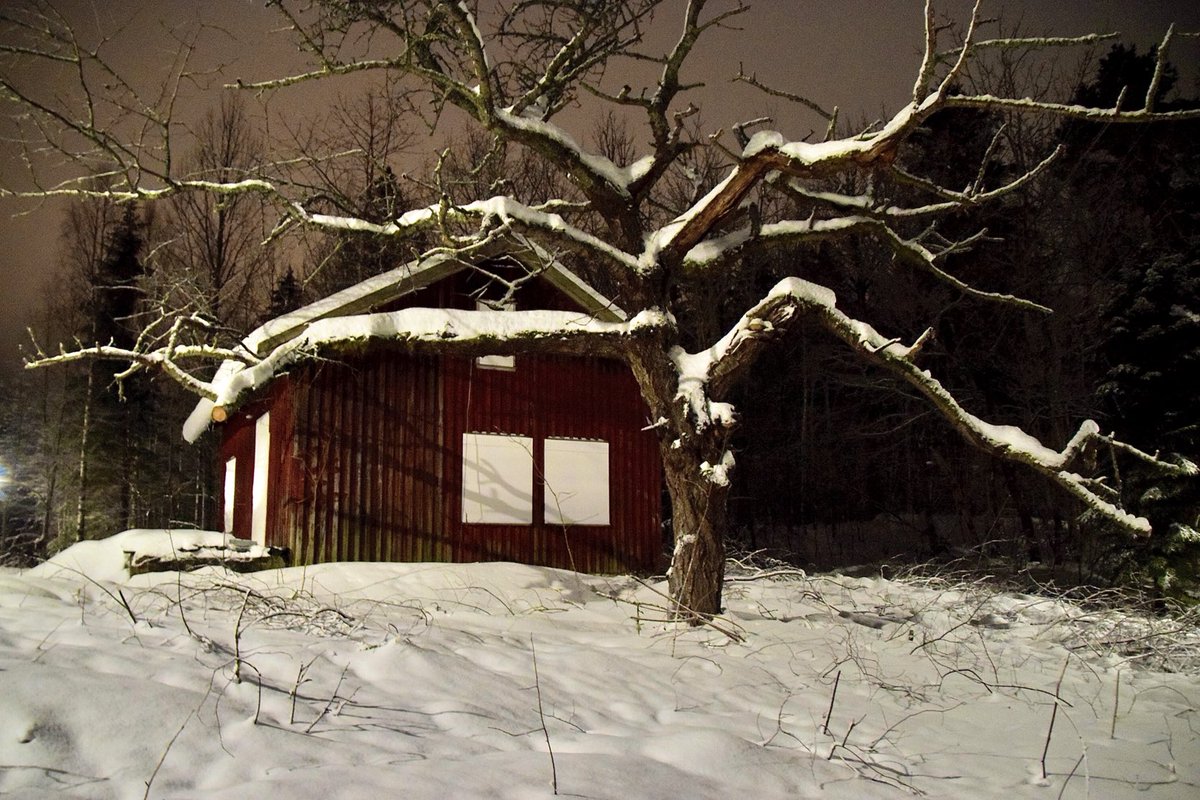 edgar dehli tweet media