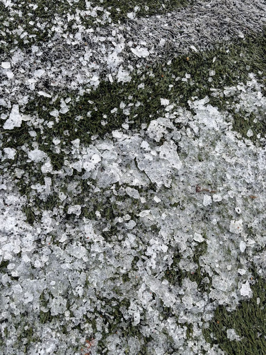 Firrhill Thistle FC tweet media