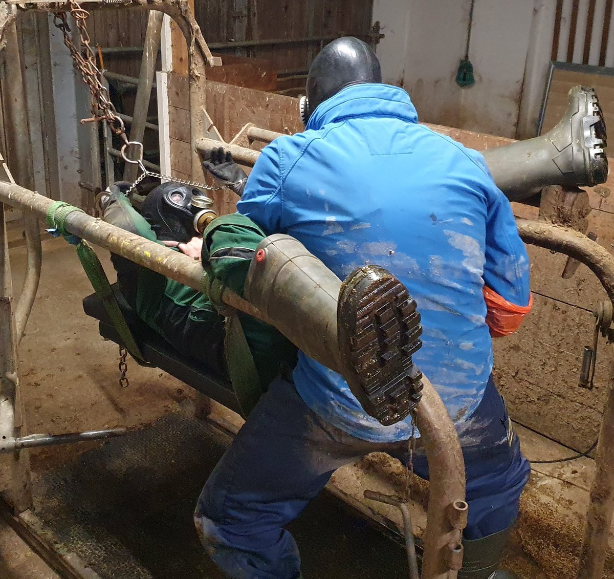 Qui pour me prendre comme dans une ferme ?