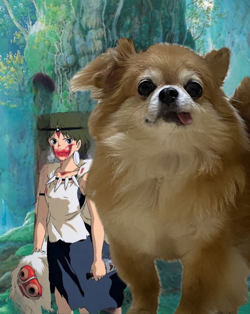 ☆ ★陸★ ☆ tweet media