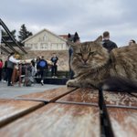 Photo by Omer Temel (@omr_dev)