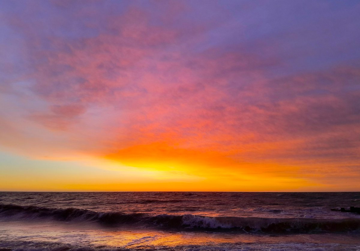 Sharing Life With Nature tweet media