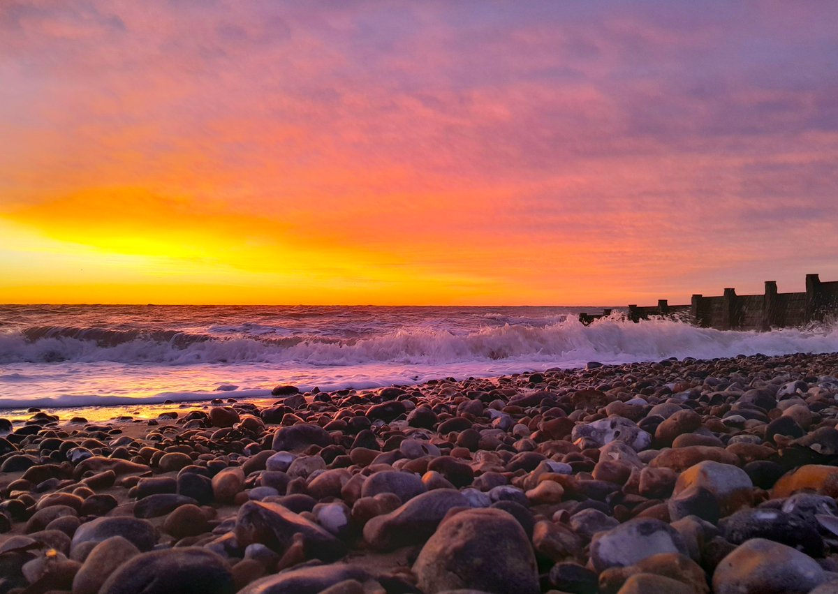 Sharing Life With Nature tweet media