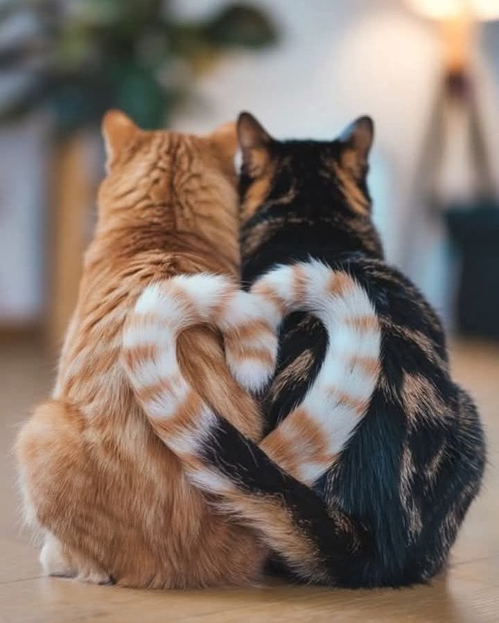 Jeanette tweet media