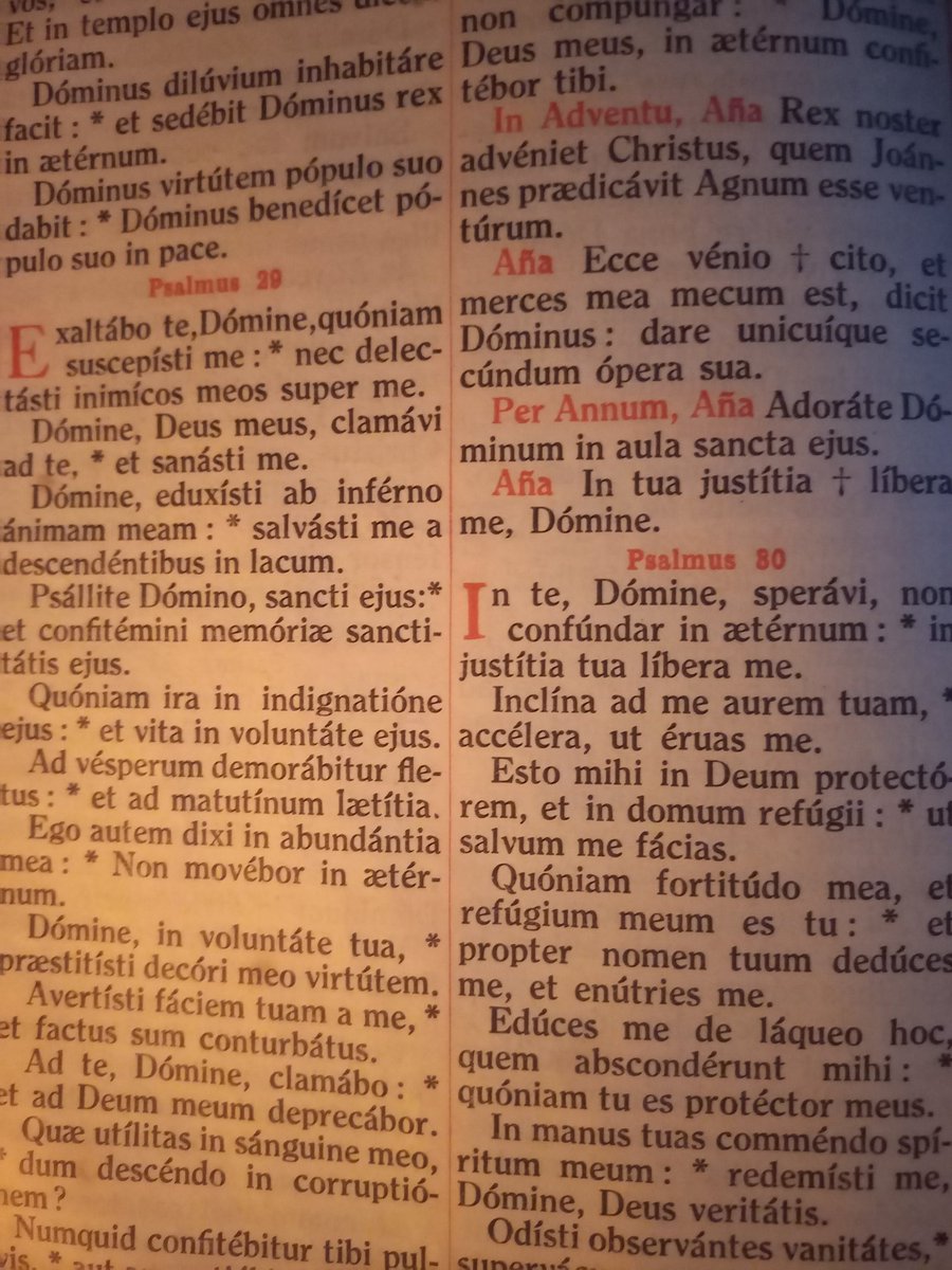 EduardHabsburg's tweet photo. Pondering that for my morning prayer, I meditate the Psalms (written up to 3500 years ago, LONG before Homer), through the (wonderful) Latin Vulgate translation of Saint Jerome (382 AD).
And they speak to me.
That means, among other things, that Man hasn't changed at all. https://t.co/UPjP3jzvP3
