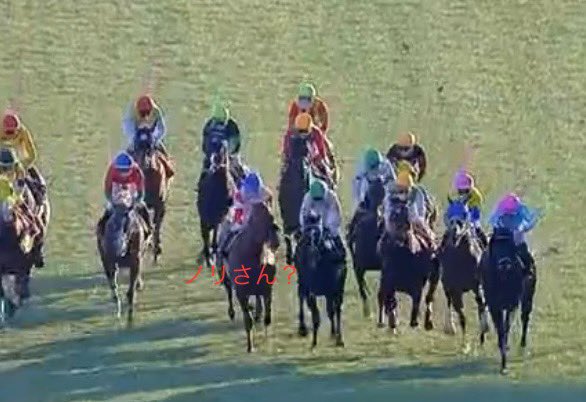 ノリさん AJCC スタート直後、ノリさんがいることに気付いたダノンデサイル☺️