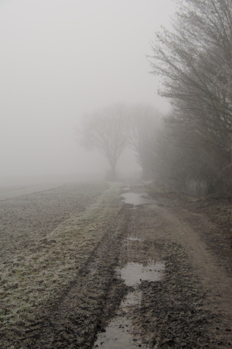 Groeten uit Oss 📷 🇺🇦 tweet media