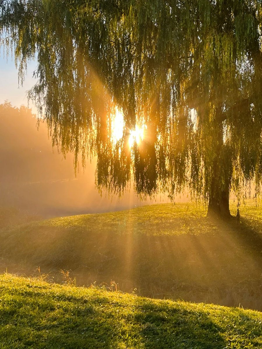KatanaHugo's tweet photo. The morning sun !
#photos #morning #sunrise #sun https://t.co/oRNflqjGII