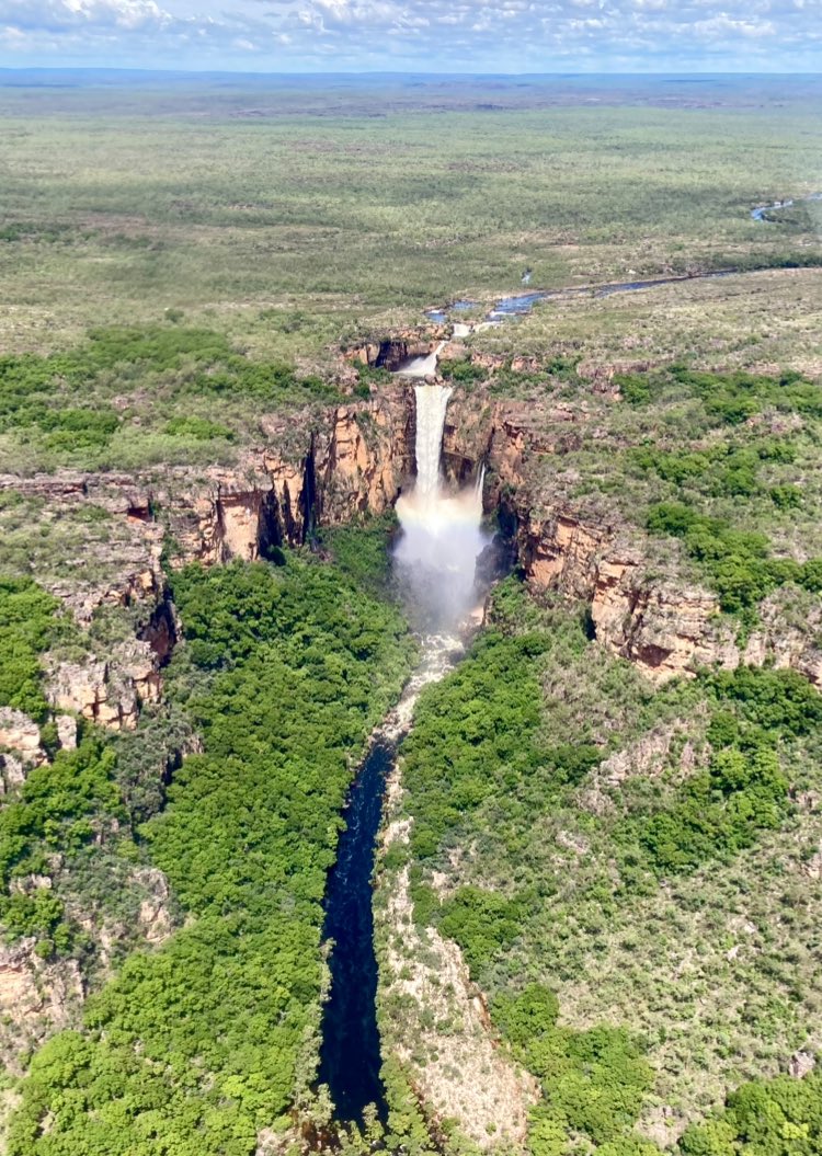 Ray Martin tweet media