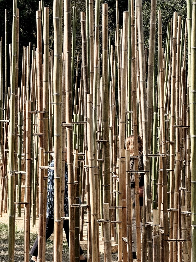 designboom's tweet photo. spiral bamboo pavilion by uau studio curates educational path on plant life cycle https://t.co/E90CSlPyiP https://t.co/OOSwj0fXWS