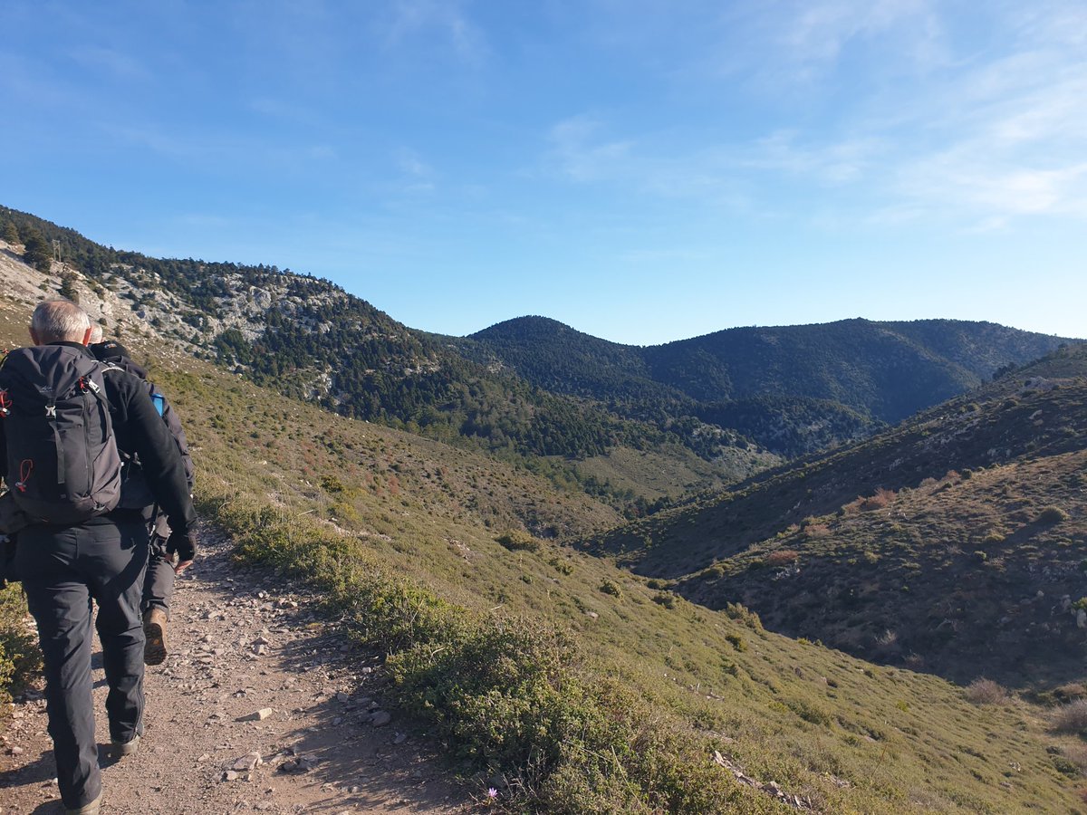 JoanaZh's tweet photo. Mornings like these...🌞
#backtoroutine
#bestoffice😊
#20kmtrekking https://t.co/dKiirgAZDR