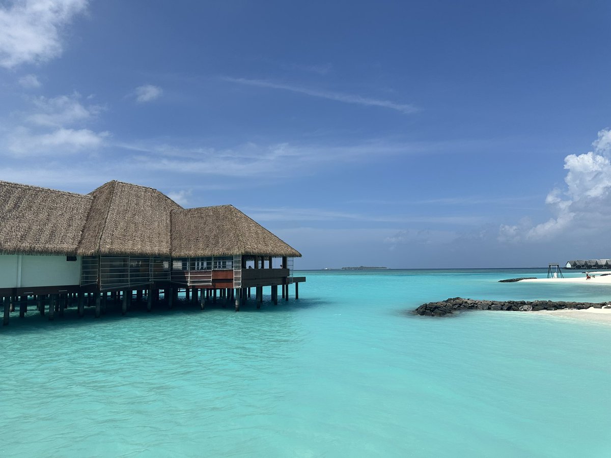 Arya11041's tweet image. Vacation now