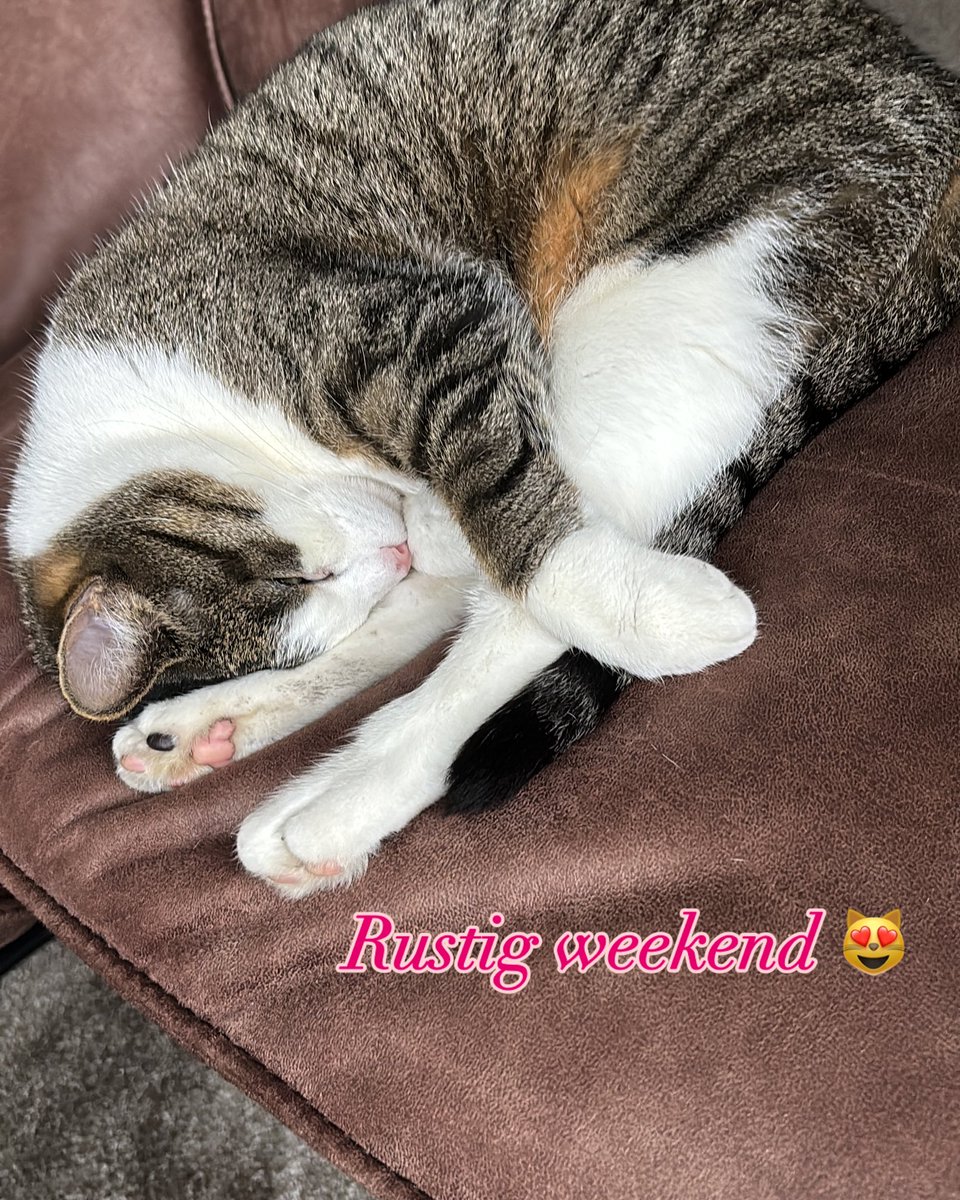 Irma Kenter (@irmakenter) on Twitter photo 