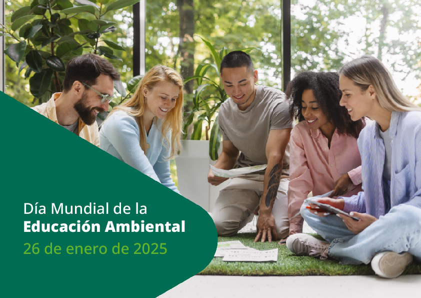 🌍 Hoy es el Día Mundial de la Educación Ambiental 💚
Hoy reflexionamos sobre nuestra relación con el entorno y cómo actuar para protegerlo. 

Ayudamos a las empresas a liderar el cambio hacia la sostenibilidad con formación y consultoría especializada brnw.ch/21wQfKi