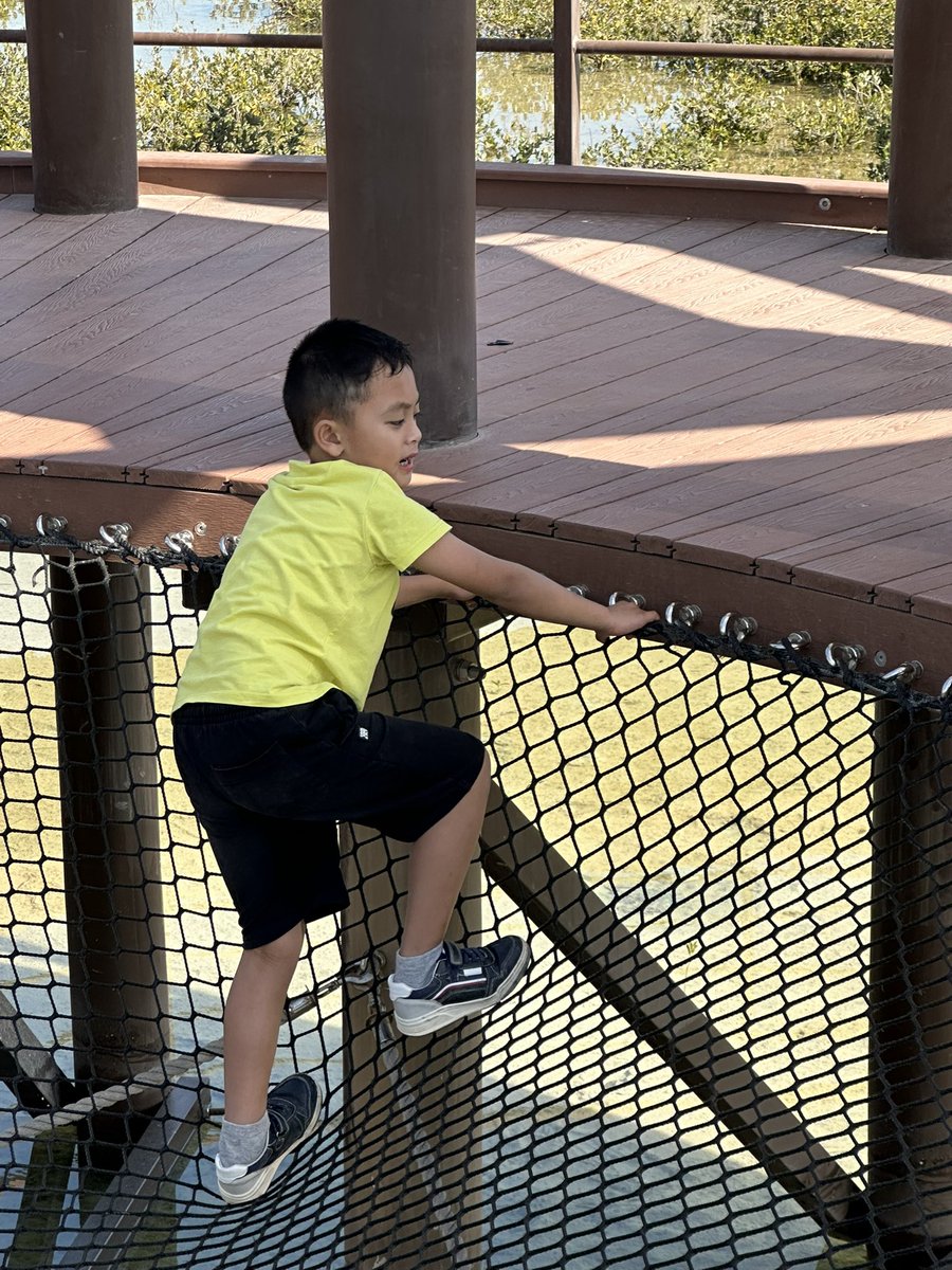 BisdakV's tweet photo. Kiddos will enjoy the mangrove park in Al Mugheirah!
Aside from exploring & learning about nature & meeting wildlife like gray herons, theyβre treated with some adventures like this net!
#AbuDhabi #UAE #Mirfa #nature #mangrove #sanctuary #wildnerness #familytime #almugheirah https://t.co/2XqUt30z9D