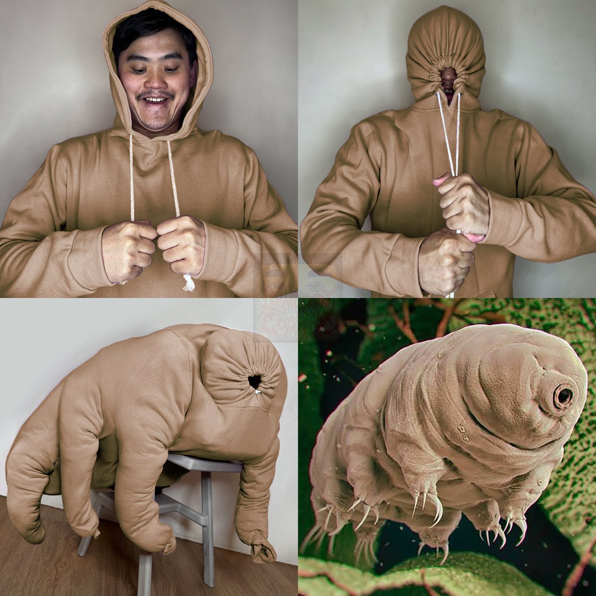 Tardigrade

#Lowcostcosplay #Tardigrade #Microorganism #Extremophile #Cryptobiosis #Anhydrobiosis #Resilience #TunState #Hydrophobic #Desiccation #Radiationresistant #MicroscopicAnimal #Science #Biology #animal #life #organism #hoodie #fashion #cosplay #art #delicious #biotic