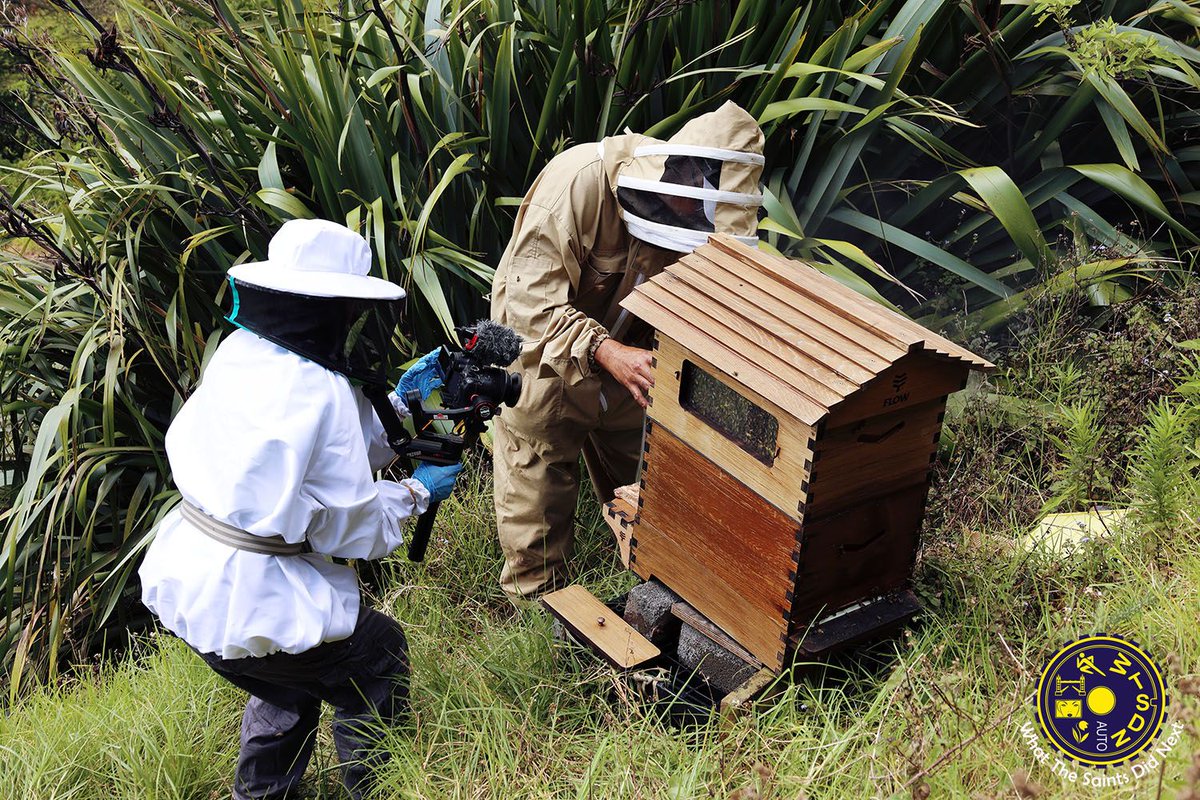 SaintsDidNext's tweet photo. SOMETHING SWEET
First time in this type of PPE โ Beehind the scenes, shooting a harvest of pure St Helena honey, with Darrell.
#beekeeper #flowhive #honeyharvest #sthelenaisland https://t.co/DM09VJLTVD