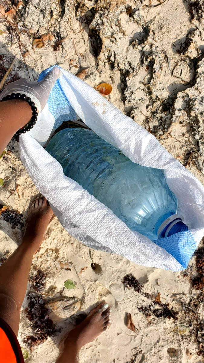 Carolmutinda7's tweet photo. @cleanify_vet Sunday 🚮 
#CleanifyChallenge
#EcoWarrior https://t.co/J4uKD02ZC9