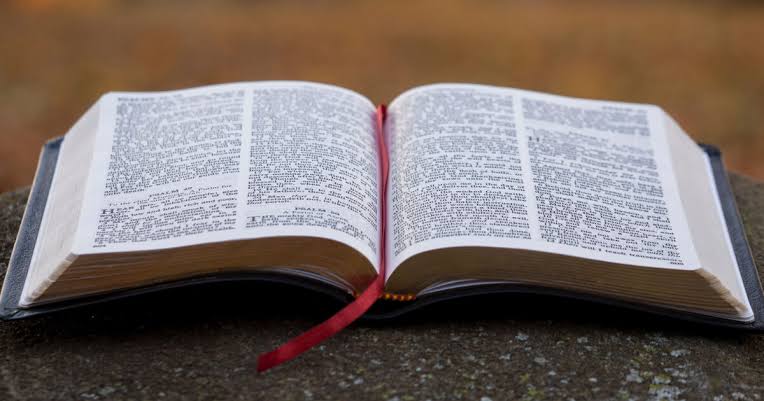 CeeOkafor75447's tweet image. Jesus enta synagogue read from prophet Isaiah to show us se Scripture dey important and na dia im mission de.
E dey important to study Scripture weda as family or as individual. So dat we sef go know our mission for dis life.

(c.f Lk 4:14-21)
#DailyScripturalGinger #521
26.02.25