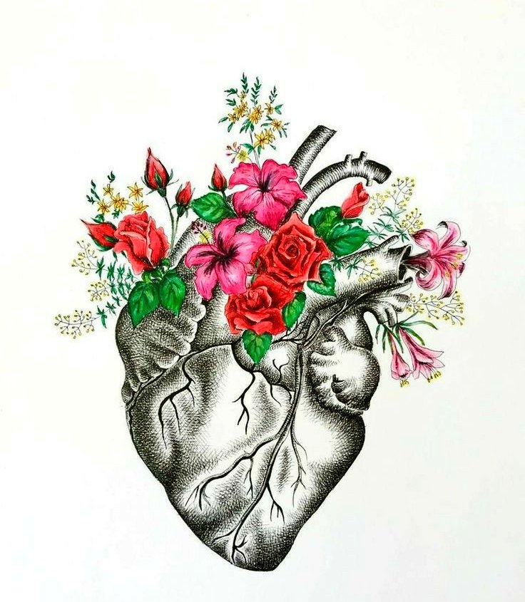 turkcem__'s tweet photo. Zarif bir yüreğin varsa bu dünyanın kahrına dayanmak çok zor. Bunca acıyı çektiği halde çatlamadığına sen bile şüphe ediyorsun. Bu kahır ulusal bir kahır. Milletimin çocukları boşu boşuna ölüyor. Daha da acısı zavallı seyircileriz; suskun, bitkin ve güçsüz... https://t.co/nY7BCxa0DL