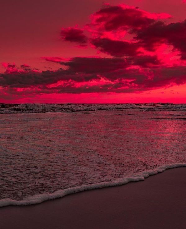 Aesthetics (@aestheticspost_) on Twitter photo 