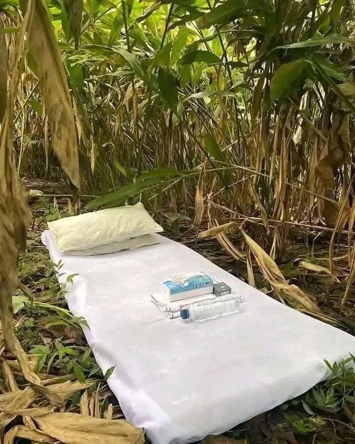 อยากลอง แบบ นี้ บ้างจัง ชายใดมีที พาไป ทำ บอกหน่อย ให้ค่า สนุก 0812097182  รอๆนะคะ