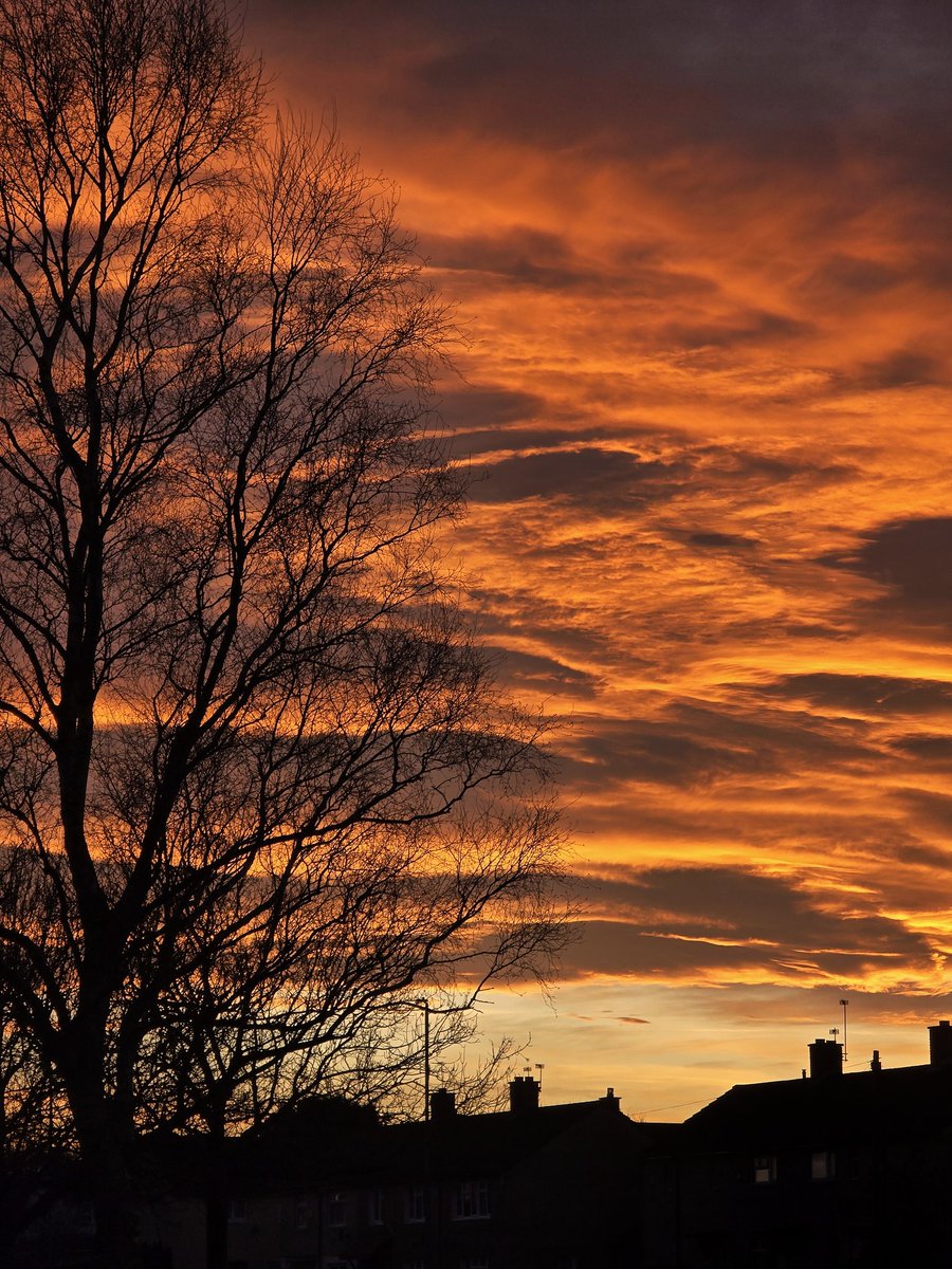 PhilMcPhoto's tweet photo. 🌇 Fire 🌇
📸 @samsunguk #s24ultra
.
.
.
#sunset #liverpool #liverpoolsunset #liverpoolphotograph #liverpoolphotographer #sun #sunsets #sunsetlovers #sunsetphotography #sunset_pics #sunsetmakeup #sunny #fire https://t.co/UYPTeFEg6U