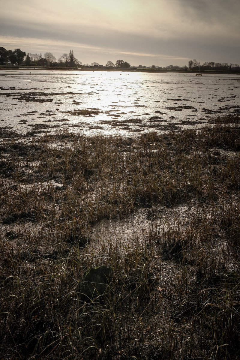 Alastair Hilton tweet media