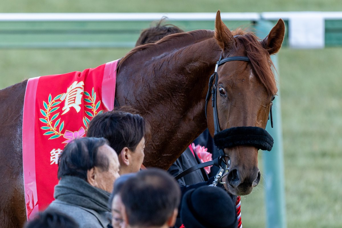 sk_photo_animal's tweet photo. しょごせんに𝒌𝒊𝒔𝒔された後の、ダノンデサイルびっくりしててかわいい https://t.co/OOgdEXPlxO