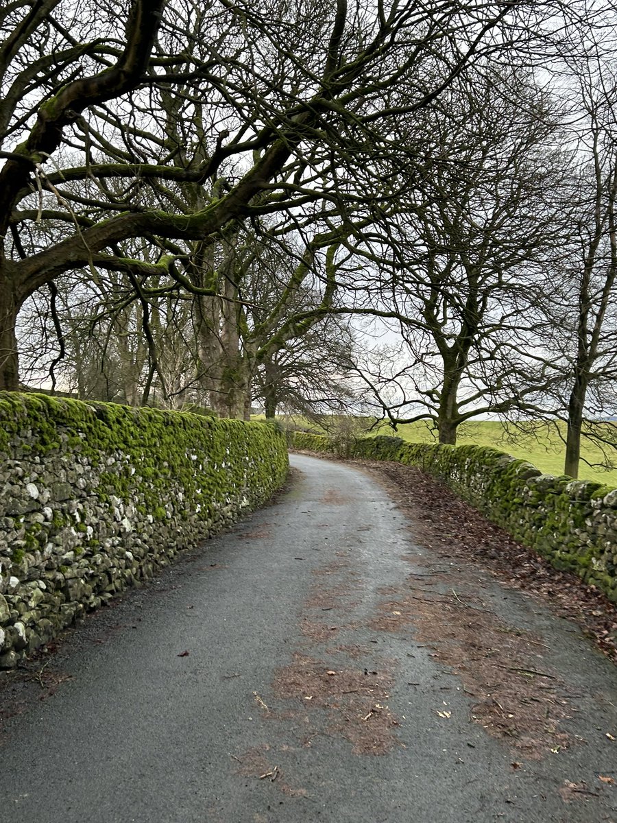 theobald_sue's tweet photo. Last little walk in #Langcliffe https://t.co/ywA4Ge9bDb