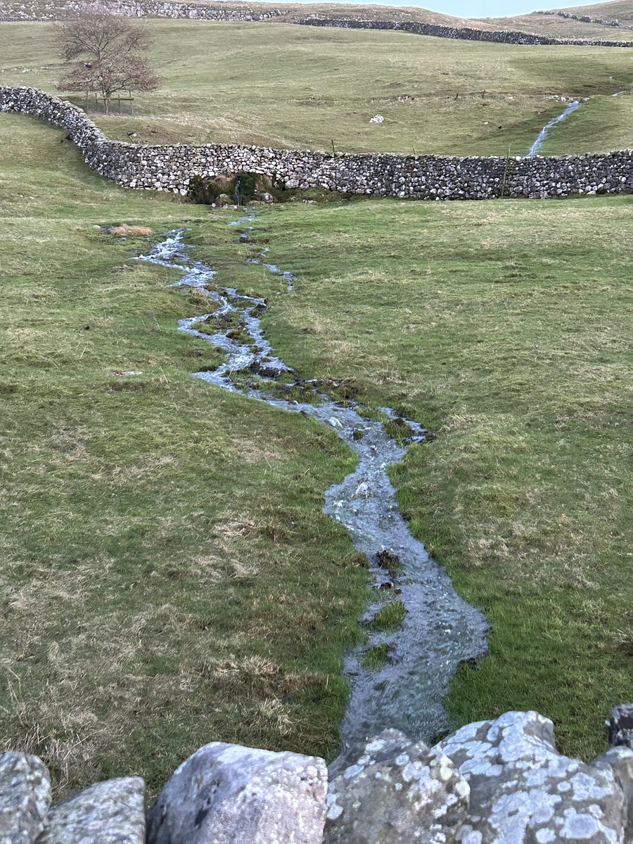 theobald_sue's tweet photo. Last little walk in #Langcliffe https://t.co/ywA4Ge9bDb