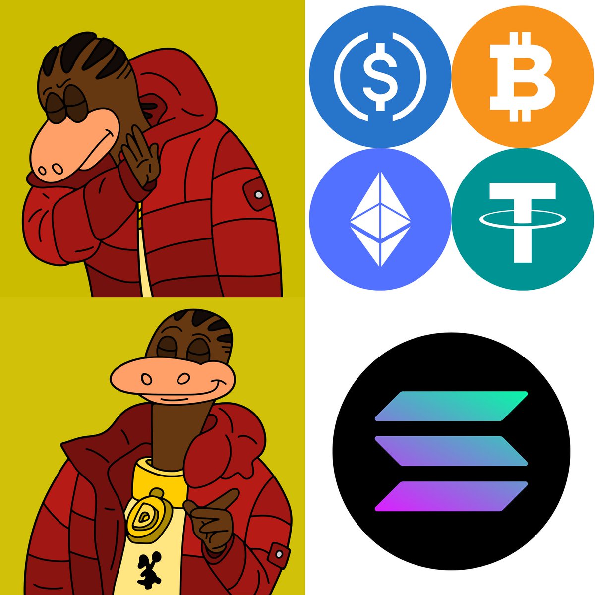 🦖We tried telling them.. 

#solana #deenocoin